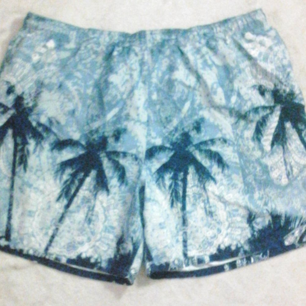 Swim Trunks